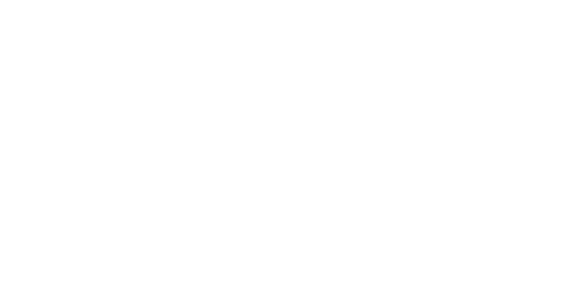 rnv-logo-weiss